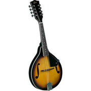Rover RM-25 Mandolin - Jakes Main Street Music